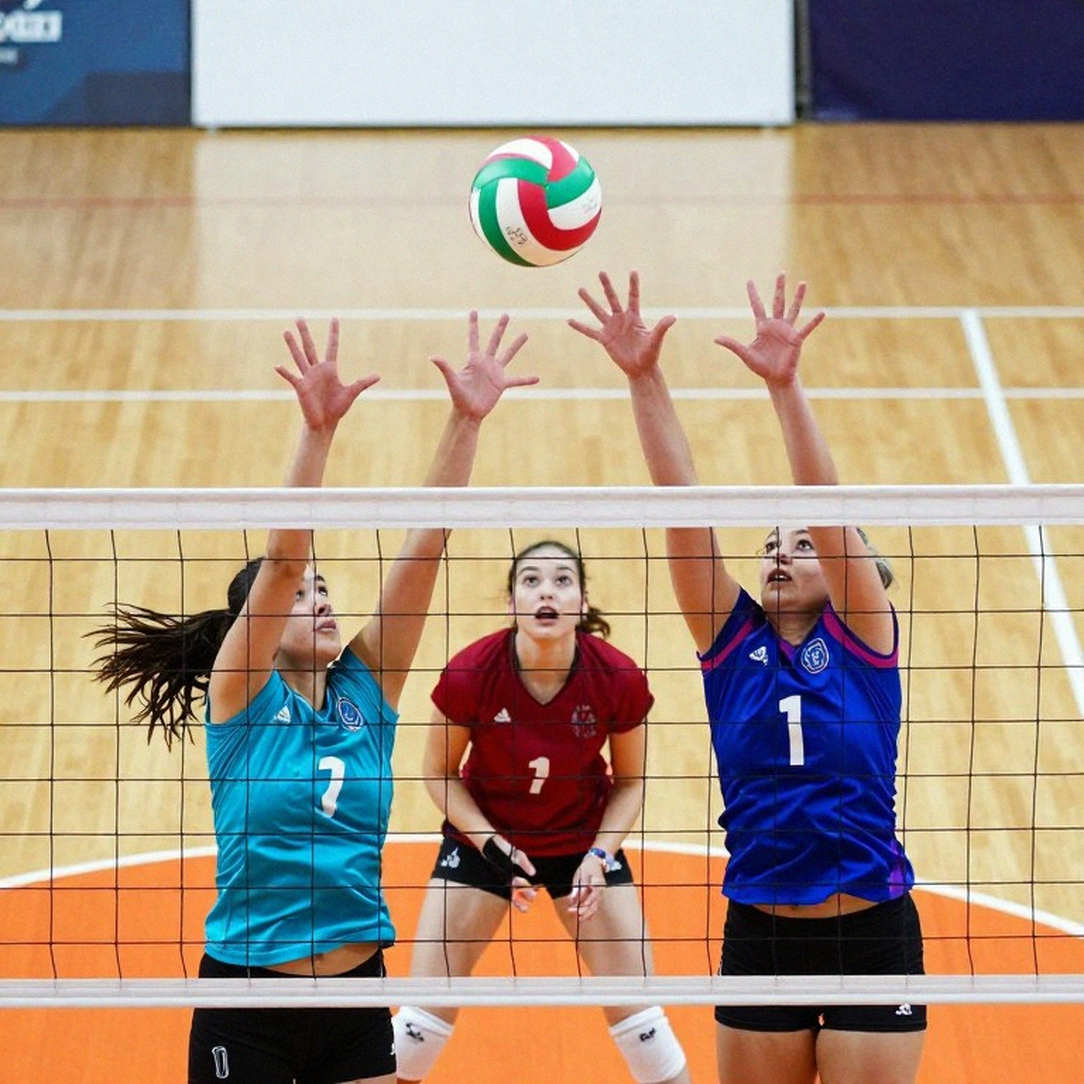 Bóng chuyền nữ Việt Nam và khoảng trắng dữ liệu: Từ sân vắng Ninh Bình đến World Championship