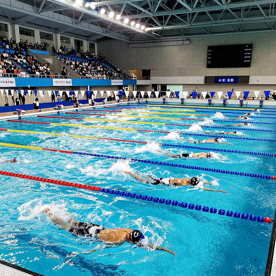 Cơ sở dữ liệu tuyển sinh 2028 của SwimSwam và thứ bơi lội trẻ đang đánh đổi